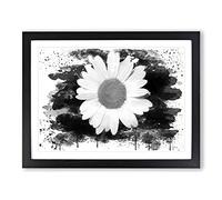 Flower White Daisy Vol.1 V4 Modern Framed Wall Art Print, Ready to Hang Picture for Living Room Bedroom Home Office Décor, Black A2 (64 x 46 cm)