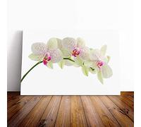Flower White Orchid (2) Canvas Print | Gallery Wrapped 30mm Frame Wall Art | 24x16 inches | Ready to Hang | Modern Floral Picture | Living Room Bedroom Lounge Office