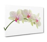 Flower White Orchid No.2 Canvas Print | Gallery Wrapped 30mm Frame Wall Art | 24x16 inches | Ready to Hang | Modern Floral Picture | Living Room Bedroom Lounge Office