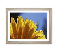 Flower Yellow Daisy Modern Framed Print | A3 Oak Framed Wall Art | Ready to Hang | Modern Floral Picture | Living Room Bedroom Lounge Office