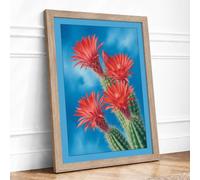 Flowering Desert Bloom Botanical Framed Wall Art Print A1 (84.1×59.4cm) Oak, Wall Decor for Living Room, Bedroom, Office & Home, Ready to Hang, Art Gift