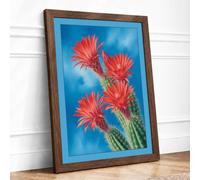 Flowering Desert Bloom Botanical Framed Wall Art Print A4 (29.7×21cm) Walnut, Wall Decor for Living Room, Bedroom, Office & Home, Ready to Hang, Art Gift