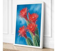 Flowering Desert Bloom Canvas Wall Art Print 18x12 Inch (46 x 30 cm)