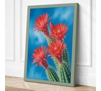 Flowering Desert Bloom Canvas Wall Art Print 24x16 Inch