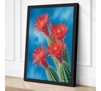Flowering Desert Bloom Canvas Wall Art Print 30x20 Inch