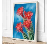 Flowering Desert Bloom Canvas Wall Art Print 30x20 Inch