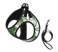 Flowering Herbs and Herbaceous Plants print Dog Harness and Leash Set, Reflective Adjustable Puppy Vest for Small Medium Large Dogs, Cats