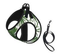 Flowering Herbs and Herbaceous Plants Print Soft Mesh Dog Harness and Leash Set Pet Puppy Cat Comfort Padded Vest No Pull Harnesses