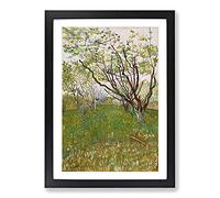 Flowering Orchard by Vincent Van Gogh Framed Print | A2 Black Framed Wall Art | Ready to Hang | Modern Historical Picture | Living Room Bedroom Lounge Office