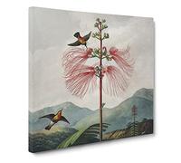 Flowering Plant & Birds by Robert John Thornton Canvas Print | Gallery Wrapped 30mm Frame Wall Art | 14x14 inches | Ready to Hang | Retro Floral Picture | Living Room Bedroom Lounge Office