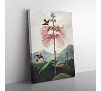 Flowering Plant & Birds By Robert John Thornton Vintage Canvas Wall Art Print Ready to Hang, Framed Picture for Living Room Bedroom Home Office Décor, 76x50 cm (30x20 Inch)