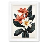 Flowering Plant Study Botanical Framed Wall Art Print A2 (59.4×42cm) White, Wall Decor for Living Room, Bedroom, Office & Home, Ready to Hang, Art Gift