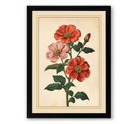 Flowering Plant Study Botanical Framed Wall Art Print A4 (29.7×21cm) Black, Wall Decor for Living Room, Bedroom, Office & Home, Ready to Hang, Art Gift