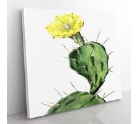 Flowering Prickly Pear Cactus Vintage Canvas Wall Art Print Ready to Hang, Framed Picture for Living Room Bedroom Home Office Décor, 50x50 cm (20x20 Inch)