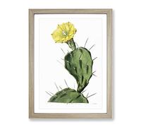 Flowering Prickly Pear Cactus Vintage Framed Wall Art Print, Ready to Hang Picture for Living Room Bedroom Home Office Décor, Oak A4 (34 x 25 cm)