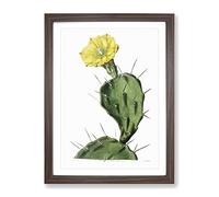 Flowering Prickly Pear Cactus Vintage Framed Wall Art Print, Ready to Hang Picture for Living Room Bedroom Home Office Décor, Walnut A2 (64 x 46 cm)