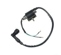 Floweringbeter Boost Your Dirt Bike with 12V Ignition Coil for 50CC 70CC 90CC For 110CC 125CC For ATV Quick Start Technology
