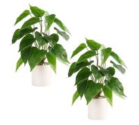 Floweroyal 2pcs Fake Plant in Ceramic Pot Faux Potted Plants for Indoors Green Leaf Plant with White Planter for Desk Office Shelf Bathroom Bedroom Decor（Pothos）