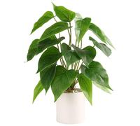 Floweroyal Fake Plant in Ceramic Pot Faux Potted Plants for Indoors Green Leaf Plant with White Planter for Desk Office Shelf Bathroom Bedroom Decor（Pothos）