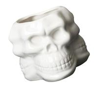 Flowerpot and White Succulent for Plants Skull Ceramic Decoration Desk