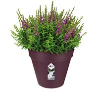 Flowerpot Mulberry matt 19x18cm 3L