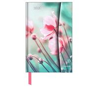 Flowers 2024 - Diary - Book Calendar - 10 x 15: Magneto Diary