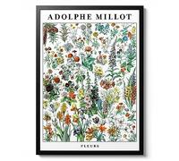 Flowers - Adolphe Millot, Botanical print, Wildlife Floral Wall Art, Animal Nature Gift Idea, Archival Matte, A3 (Print Only) - 42x29.7cm