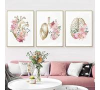 Flowers Anatomy Human Canvas Pictures Painting, Wall Art Poster Heart Lung Brain Wall Decoration Hospital Frameless 50x70Cmx3