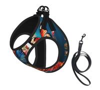 Flowers and Butterfly Print Step in Dog Harness and Leash Set,Adjustable Reflective Harness for Small Dogs Cats