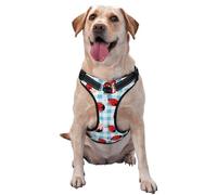 Flowers and Lady Bugs Pattern Dog Harness - Lightweight,Soft,Adjustable Small Harness and Leash Set, Suitable for Puppy Small and Medium-Sized Dog-Large