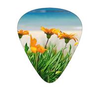 Flowers At The Beach Guitar Pick 12 Picks Fashion Personalized Bass Pick Durable Electric Guitar Plectrums Instrument Accessories