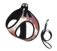 Flowers Blooming in The Sunshine Dog Harness - Equipped with Reflective Straps and Quick Release Buckles - Suitable for Small Cats and Dogs