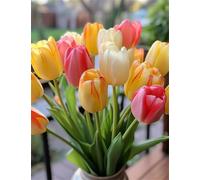 Flowers Diamond Painting Kits for Adults Beginners - Tulip Diamond Art Kits for Adults, DIY Full Round Drill Diamond Gem Art Embroidery Cross Stitch Kit, for Home Wall Room Decor Gifts 30x40cm ME-547