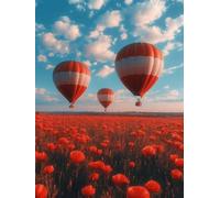 Flowers Diamond Painting Kits for Adults, Pattern Hot Air Balloon Diamond Art 5D DIY Full Square Drill Gem Crystal Art Kits Crafts for Adults, Room Decor, Bedroom Decor, Gifts 20x30cm -yym2507WW