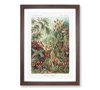 Flowers Growing Wild by Ernst Haeckel Framed Print | A2 Walnut Framed Wall Art | Ready to Hang | Modern Floral Picture | Living Room Bedroom Lounge Office