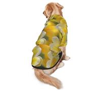 Flowers in The Park Dog Hoodie for Medium and Large Dogs – Soft Polyester Pet Clothes, Suitable for All Seasons