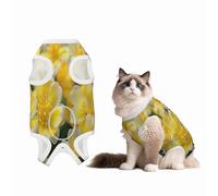 Flowers in The Park Recovery Suit for Dogs Cats After Surgery,Pet Recovery Shirt, Dog Onesies Pet Surgery Recovery Suit
