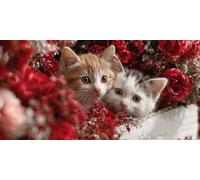 Flowers Large Diamond Art for Adults, 5D Diamond Painting Cat, DIY Full Drill Gem Art Mosaic Making Kits, Cross Stitch Kits for Adults for Room Decor, Gifts for Women 120x60cm - SW2511294