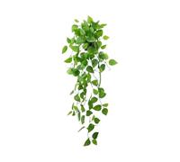 Flowers More Greenery To Life! Simulate The Hanging Of Green Vines On The Wall Which Will Not Wither For A Long Bringing You A Comfortable Experience Of All Year Round