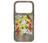 Flowers of Guatemala Word Art - Guatemalan Pride Case for iPhone 17 Pro
