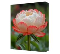 Flowers Paint by Numbers for Adults, Complete DIY color Paint by Numbers kits, 40x54in Coloured Canvas with Acrylic Paints and Brushes, for Beginners Adults, Gifts for Home Decor, Frameless G-301
