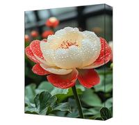 Flowers Paint by Numbers for Adults, Complete DIY color Paint by Numbers kits, 40x54in Coloured Canvas with Acrylic Paints and Brushes, for Beginners Adults, Gifts for Home Decor, Frameless G-300