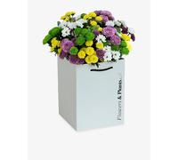 Flowers & Plants Co. Flowers & Plants Co. Autumn Daisy Fresh Flower Bouquet