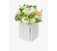 Flowers & Plants Co. Flowers & Plants Co. Daisy Chain Fresh Flower Bouquet