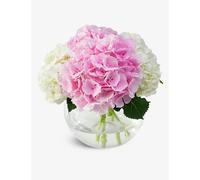 Flowers & Plants Co. Flowers & Plants Co. Pink and White Hydrangea Fresh-Flower Bouquet