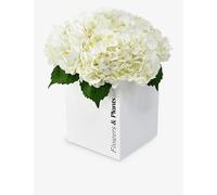 Flowers & Plants Co. Flowers & Plants Co. White Hydrangea Fresh-Flower Bouquet