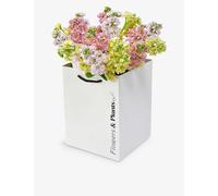 Flowers & Plants Co. Mixed Scented Stocks Fresh-flower Bouquet