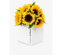 Flowers & Plants Co. Sunflowers Fresh Flower Bouquet