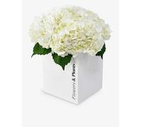 Flowers & Plants Co. White Hydrangea Fresh-flower Bouquet