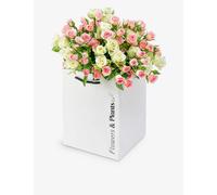 Flowers & Plants Co. White, Pink Spray Rose Mix Fresh-flower Bouquet